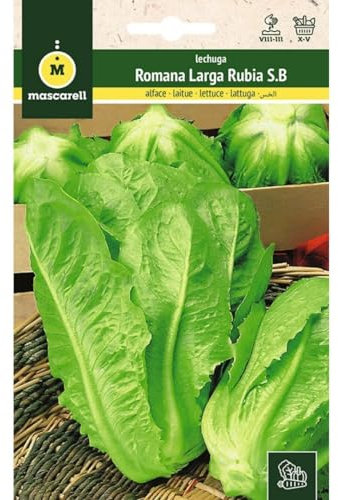 Mascarell Semillas, LECHUGA, Semillas Huerto, LECHUGA ROMANA LARGA RUBIA S.B, Crea tu Propio Huerto Urbano y Cultivo en Casa, Plantas Hortícolas, 6 Gramos