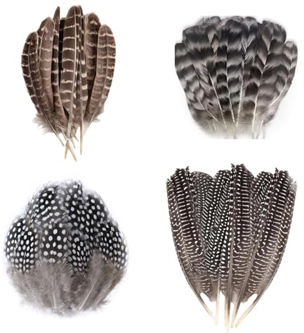 Pheasant Feathers, 50 Pcs 12-20cm Natural Feathers, 4 Styles Craft Feathers, Handmade DIY Decorations, Used for DIY Hats, Feather Masks, Carnival Costumes, Party Decorations