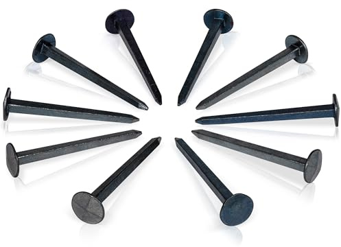 Chiodi lucchetto, lunghezza 30 mm, set da 10 pezzi, chiodi, chiodi decorativi forgiati, effetto anticato, superficie blu-nera/chiodi forgiati in diverse lunghezze da 20 a 60 mm