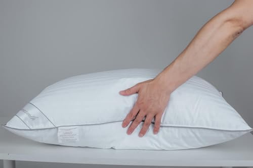 Eastwarmth Cuscino standard in piuma d'oca, 100% morbido cotone, per dormire, dimensioni standard (51 x 66 cm), a righe, bianco, 1 confezione