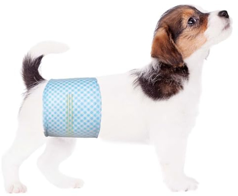 Flying Paws Lot de 20 Couches jetables pour Chien mâle, Taille XS, Couches Douces pour Chiens mâles, Super Absorbantes et Anti-fuites avec Indicateur d'humidité