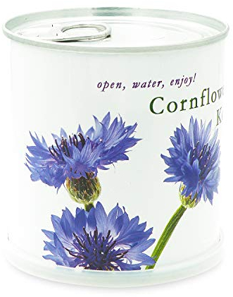 MacFlowers | Kleines Anzuchtset mit Kornblume | Design White Edition | Geschenk Set mit Einer Sorte Samen in süßer instant Blumendose