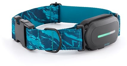 Kolyy Series 2 - Collar GPS para Perros Hecho en España - Localizador GPS Perros con Control vía App - Localización en Tiempo Real y sin Límite de Distancia –Control Actividad, Reposo, Paseos y Rutas