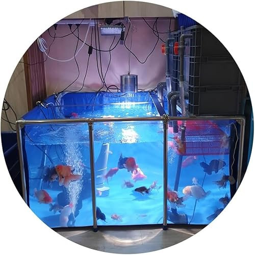 Aquarium Piscine Bassin, Bassin À Poissons en Toile PVC avec Cadre en Acier Fenêtre De Visualisation Claire Grand Espace - Koi/Poissons Rouges Élevage Jardin Extérieur(Size:140x70x61cm)