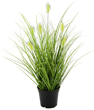 Künstliches Fuchsschwanzgras im Topf Gras Kunstpflanze Kunstgras Ziergras Grünpflanzen Dekogras Grasbüschel Ziergras Solitärgras Deko Grasarrangement Borstenhirse Panicoideae Süßgräser Setaria