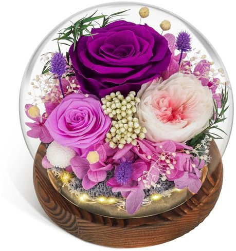 CSYY Rosa Eterna - Regalo di Natale con Luce Infinity Vetro Rosa e Austin Conservati Fiori Viola Durevoli - Regali Eterni per Donne Mamma Fidanzata Moglie San Compleanno