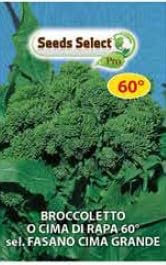 Semi di Broccoletto o Cima di Rapa 60°, Varietà a Cima Grande, Bustina da Semina