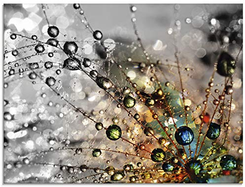 ARTland Wanddeko Glasbilder Wandbild Glas Bild einteilig 80x60 cm Querformat Natur Botanik Blumen Pusteblume Frühling Wassertropfen Modern T9IN