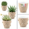 uandu 3er Blumentopf Set, 3 Größen, BPA frei Kunststoff Blumenständer fürs Zuhause, Plant Pot, übertopf, Flower Pot, Pflanzkübel, Pflanztöpfe, Blumentöpfe, Blumentopf Gross, Pflanzentopf Groß