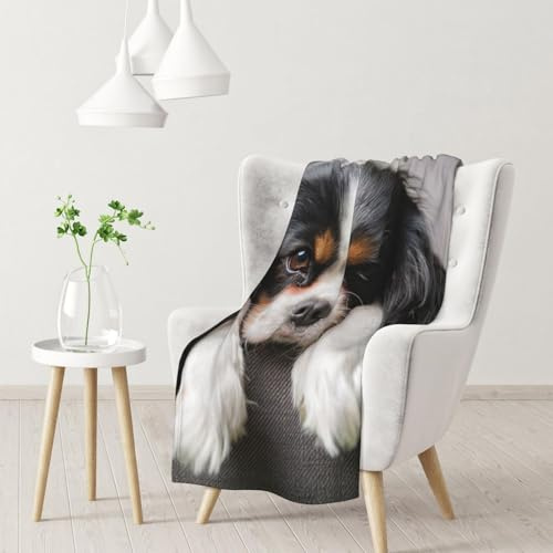 Cane Cavalier King Charles Spaniel,Coperta morbida, calda, anti-pilling, in flanella, peluche, 76 x 102 cm