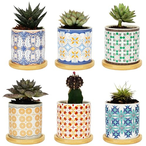 BELLE VOUS Set de Macetas Pequeñas de Ceramica - 6X Maceta Decorativa de Interior para Suculentas de 7,5 cm con Platillo de Bambú y Orificio de Drenaje - para Cactus o Suculenta