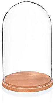 EMH Campana di vetro per esposizione a cupola media, base naturale, altezza 26,5 x 21 cm