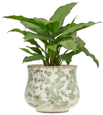 Indoor Plant Pot Botanical Floral Print Ceramic Jardinière Planter with Distressed Effect Finish Watertight Cachepot Vintage Victorian Style Houseplant Pot Windowsill Herb Planter (Large)