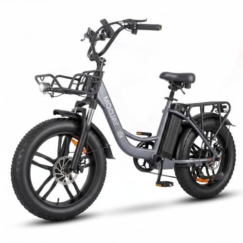 MOOJAY Vélo Électrique Adulte Tout-Terrain 20 Pneus Larges, 250 W Urbain