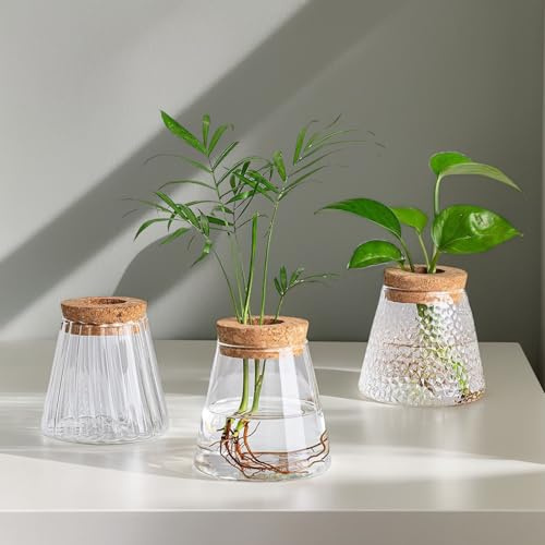 Jarrón de cristal para plantas de terrario, estación de propagación, jarrón de cristal, jarrón de flores pequeño, juego de jarrones de flores hidropónico, rama de cristal con borde de madera, jarrón