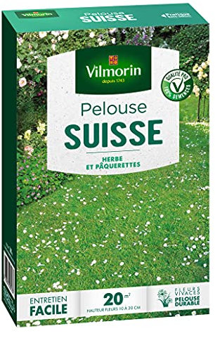Vilmorin 4466912 Pelouse Suisse Pâquerettes, Vert, 5.8000000000000007 x 14.5 x 22 cm