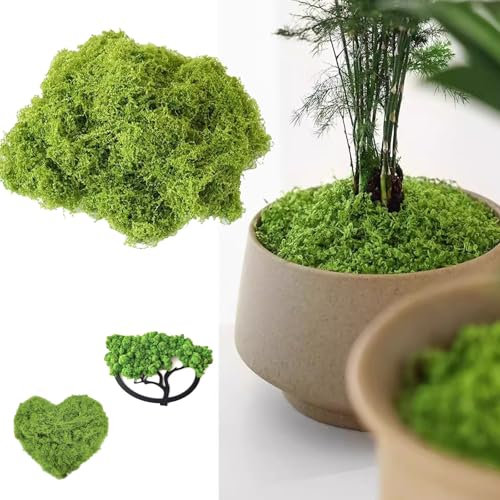 CHmiss Bastelnmoos Modellbau Moos, Kunst Moos Fake Dekomoos,Kunstmoos Zum Basteln Künstliches Moos,Bastelmoos Konserviert,Haltbares Moos Fake Dekomoos,Für Deko Aquarium(150g)