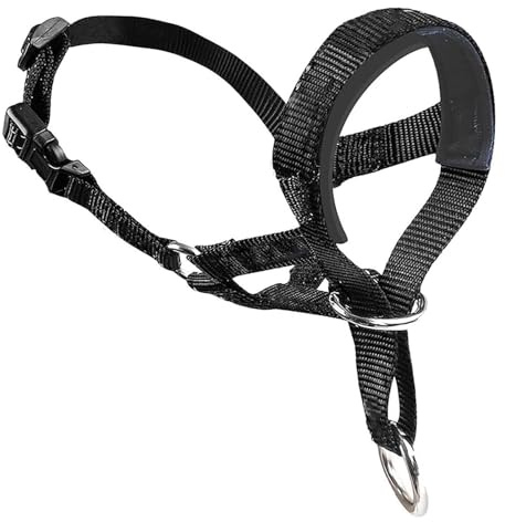 CVNRCLP Adjustable Dog Head Collar - Padded Head Harness for Comfortable Control - Anti-Pulling Halter Collar (Medium, Black)