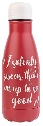 Grupo Erik: Bottiglia termica Harry Potter | Borraccia termica 260 ml, doppia parete in acciaio inox, chiusura ermetica, BPA free, Thermos Harry Potter, Regalo Harry Potter