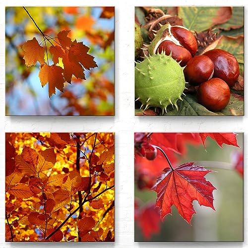 BilderKing Dekorative Herbst Deko Leinwand-bilder im 4er-Bilderset A - 30x30cm je Wandbild, Die herbstlichen Wandbilder eignen sich für Wohnzimmer, Arbeitszimmer, Esszimmer usw. Aufhängefertig