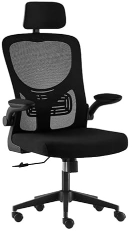 Requena Ergonomic Mesh Chair with Headrest, Flip-up Armrest & Lumbar Support, Adjustable Height Computer Office Chair B24