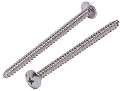 Bolt Dropper #10 X 3 inch Stainless Truss Head Phillips Wood Screw (25 Pieces), 18-8 (304) Stainless Steel Screws, ssd Screws