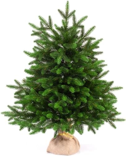 EveXmas- Onyx -65cm- Hochwertiger künstlicher klein Weihnachtsbaum – Einfach zu montieren Wunderschöne Baumspitzen aus 100% PE Spritzguss - Sehr natürlich aussehender Baum