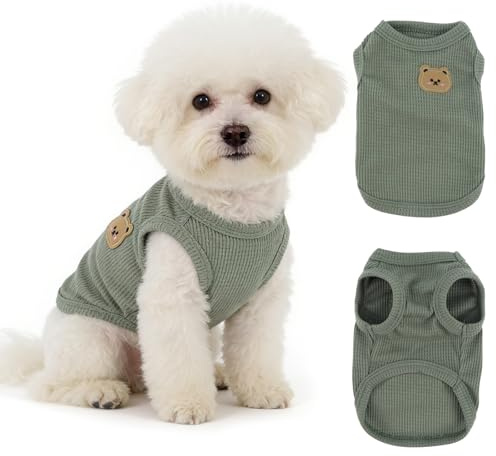 Saituo Home Vêtements pour Chiens, Chemise Respirante d'été, Vert (L)