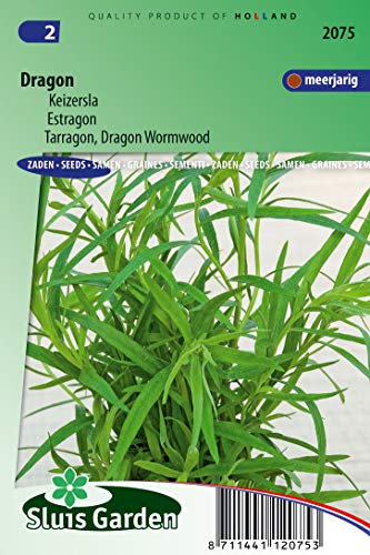 Estragon, Drachenwermut