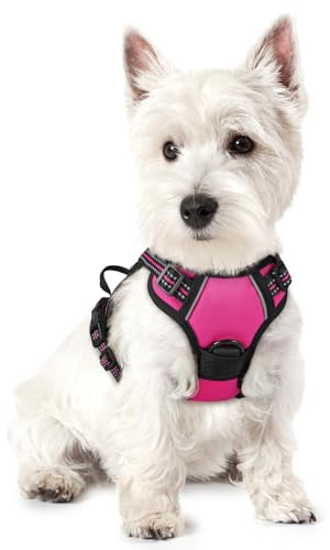 rabbitgoo Dog Harness No Pull with 2 Leash Clips, Adjustable Soft Padded, Reflective Oxford No Choke Pet Vest with Easy Control Handle for Puppy, Hot Pink, XS