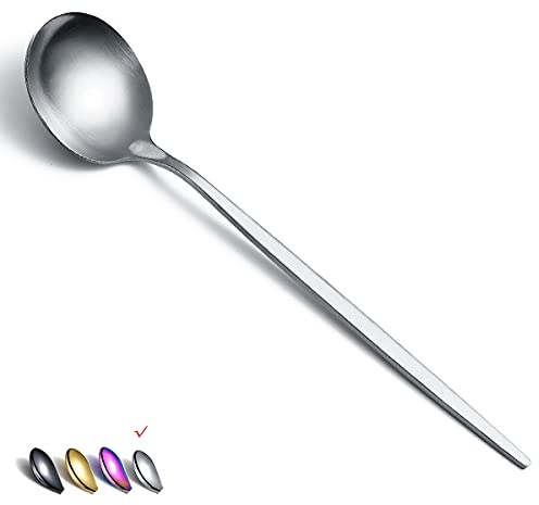 HOMQUEN Cucchiai da Tavola 6 Pezzi, Cucchiaio da Tavola in Acciaio Inossidabile da 8,1 Pollici Cucchiaio da Dessert Cucchiaio Posate Per Cucina di Casa o Ristorante (Argento Opaco-8,1 Pollici)