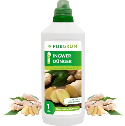 Purgrün® Bio-Ingwer-Dünger 1 Liter – Organische Rezeptur – Premium-Flüssigdünger – NPK 4+1+7 – Mit Algenextrakt & Vinasse – Extra Kalium für aromatische Ingwerknollen – Ohne tierische Inhaltsstoffe