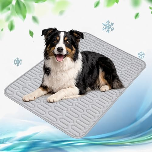 OFFASST Kylmatta för hund, ta med sig, lätt och vikbar, självkylande hundmatta, tvättbar hundmatta för hem, bil och resor (70 x 50 cm)