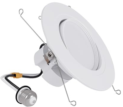 HALO RA 6 inch LED Recessed Light Trim with Adjustable Gimbal, Selectable Lumens and Selectable Color Temperature, Dim-to-Warm Feature, Damp Location Rated RA56LS9FSD2W1EWH