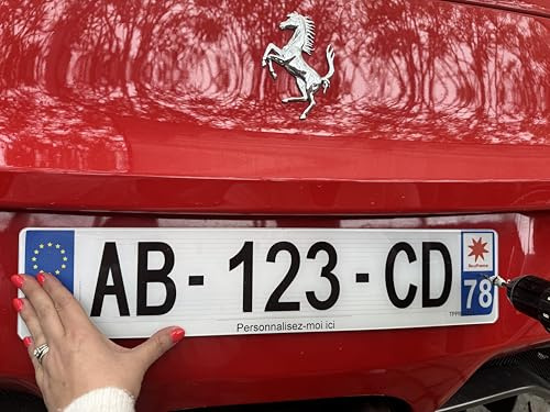 Plaque d'immatriculation pour Voiture - homologuée - Plastique Extra Choc et Anti UV - SIV 520 x 110 mm - résistance aux intempéries - Made in France