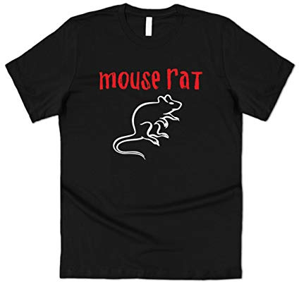 Sanfran Clothing Mouse Rat Parks & Rec Funny Men's Women's Recreation Band Gift Geek T-Shirt