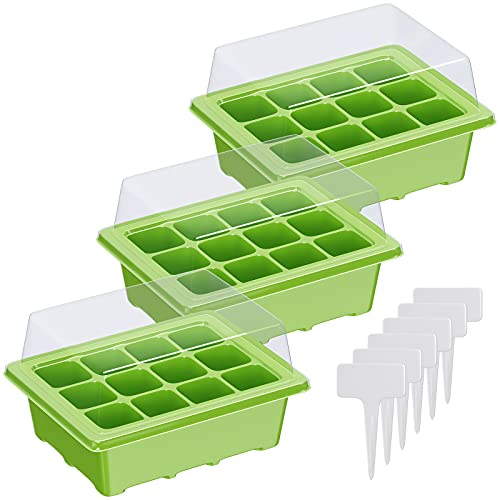 WELLGRO Mini Gewächshaus inkl. 6 Pflanzschilder - für bis zu 12 Pflanzen - ca. 19x14,5x11 cm (LxBxH) je Zimmergewächshaus, Kunststoff - Menge wählbar, Stückzahl:3 Stück