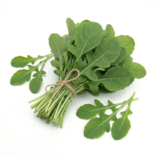 Semi di Rucola Coltivata 6g | Alta Germinazione | Semi da Orto per Vaso, Balcone e Giardino | Insalata dal Sapore Intenso e Crescita Rapida | Raccolto Continuo | Made in Italy