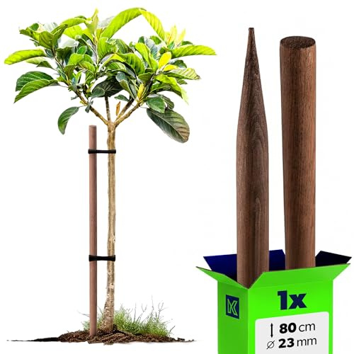 KADAX Trästång 80 cm x 23 mm, växtstav av impregnerat trä, växtstöd, trästolpe som växtstöd för växter, träd och buskar, trädstolpe