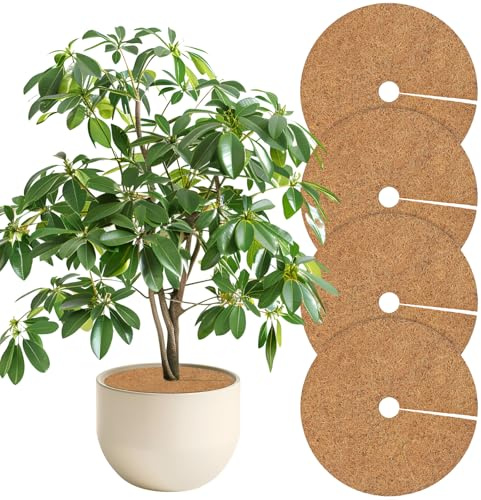 Tesmotor Lot de 4 tapis en coco - Disque de paillage en coco - Pour plantes en pot et protection hivernale - Tapis de protection contre les mauvaises herbes - Diamètre : 60 cm