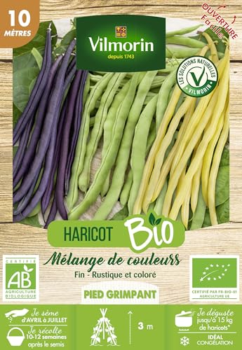 Vilmorin Haricot rame mix bio 10m
