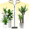 Niello Lampada da coltivazione con stativo, luce per piante da interno, lampada per piante a spettro completo, timer automatico on/off 3/9/12H, 58cm~170cm altezza regolabile per piante alte e grandi