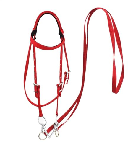 Rênes Anti-Dérapants pour Cheval, Harnais De Conduite De Cheval en Nylon pour Cheval, Harnais De Conduite De Ranch, Référence De Sécurité, Équipement d'attache Équin pour L'entraînement