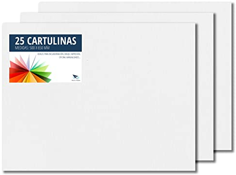 Raylu Paper® - Cartulinas 50x65cm, 25 Unidades, 180g/m². Cartulinas 50 x 65 cm de colores ideales para manualidades, oficina, dibujo, papiroflexia (Blanco)