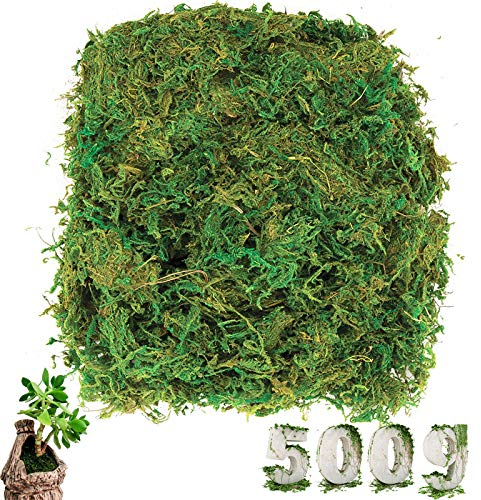 cersaty 500g Künstliche Moss Deko Flechten Simulation Grün Fake Pflanzen für Floristik und DIY Dekoration
