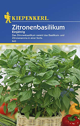 Kiepenkerl 643 Zitronenbasilikum Einjährig (Zitronenbasilikumsamen)