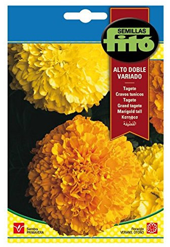 Semillas Fitó 546 - Semillas de Tagete Alto Doble Variado