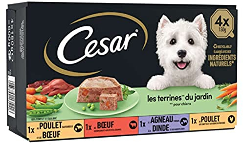 CESAR Barquettes en terrine - 4 variétés - Pour chien adulte - 4 x 150 g