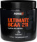 BCAA 2:1:1 Pulver - Performance, Pre und Post Workout - L Leucin, L Isoleucin, L Valin - Erfrischender Heidelbeergeschmack - 250 g - Kostenloses E-Book Guide - PowGen