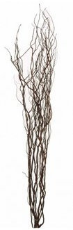 Homestreet Contorted Twisted Willow Twigs Bunch For Floor Standing Vases And Displays 120cm tall in Brown, Black, Silver, Gold or Natural (Chocolate)